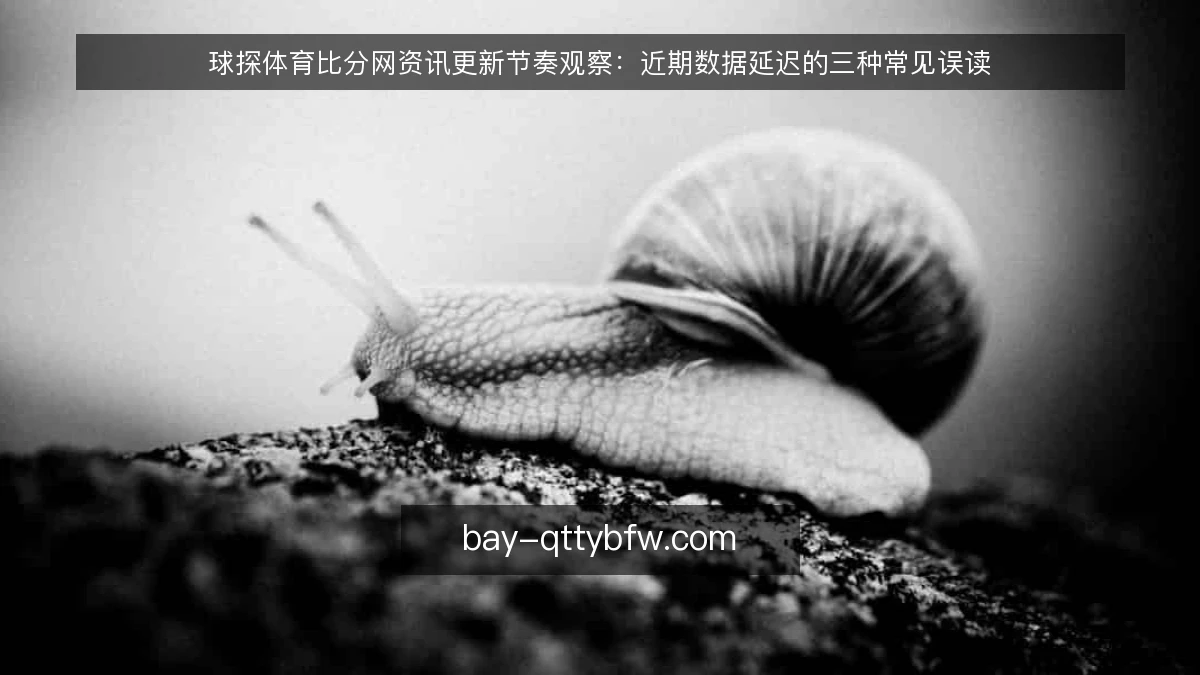 球探体育比分网资讯更新节奏观察：近期数据延迟的三种常见误读