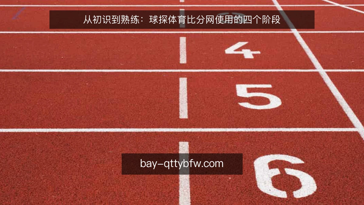 从初识到熟练：球探体育比分网使用的四个阶段