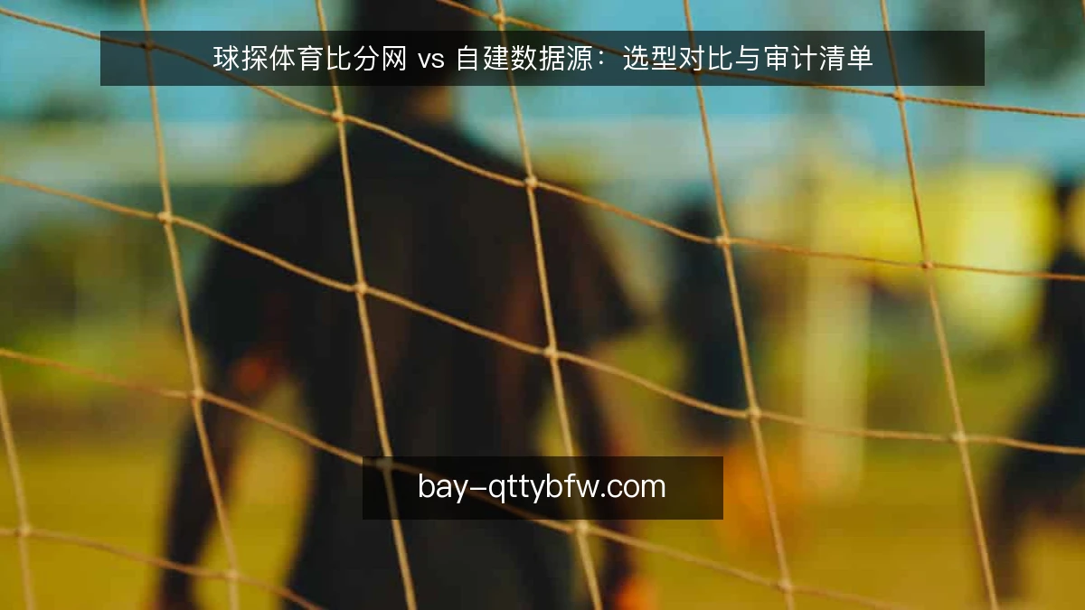球探体育比分网 vs 自建数据源：选型对比与审计清单